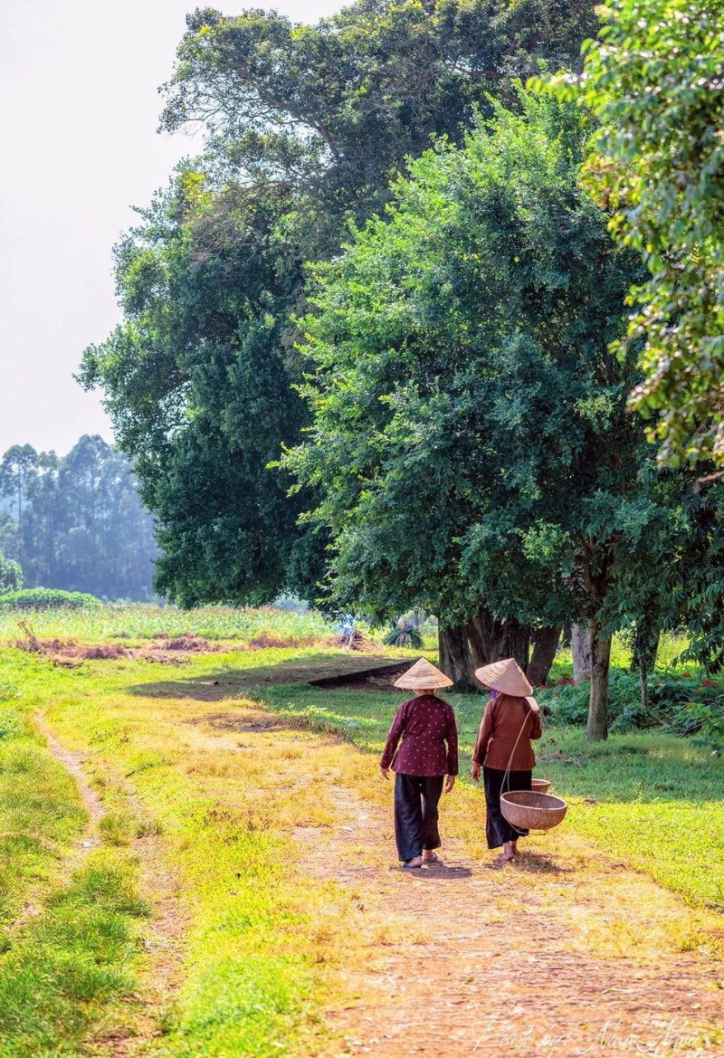 Duong Lam Village